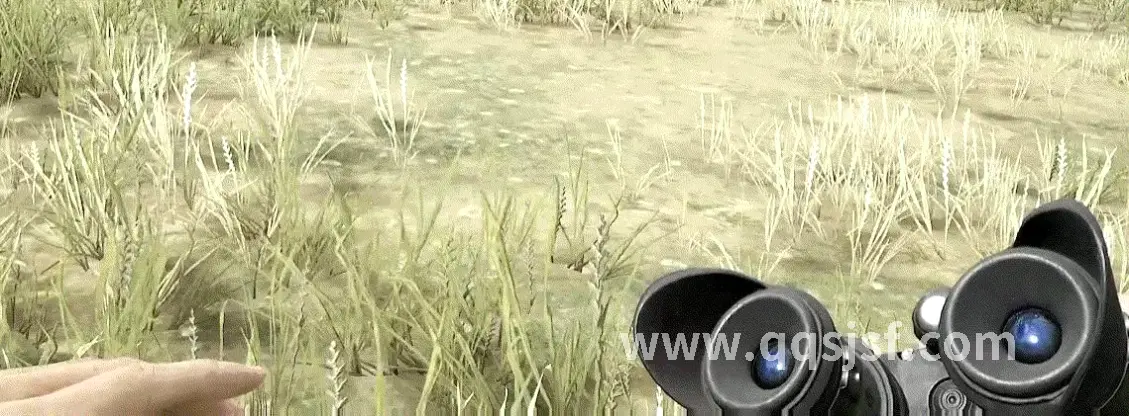 传奇世界, 游戏文化